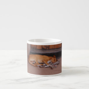 Hund i viloläge espressomugg