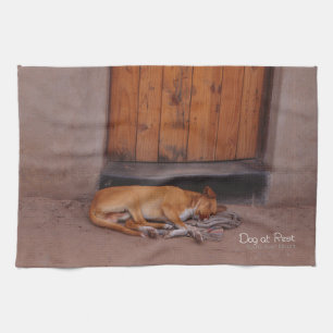 Hund i viloläge kökshandduk
