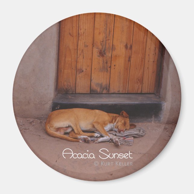 Hund i viloläge magnet (Framsidan)