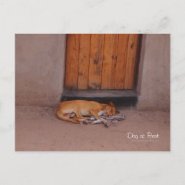 Hund i viloläge vykort