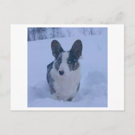 Hund i vykortet snö Helgdag Helg Vykort
