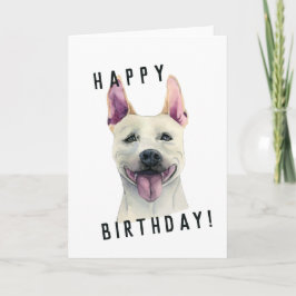 Hund i White Stafford Bull Bull Terrier | Födelsed Kort