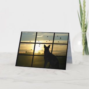 Hund i Windows Hund Sympathy Card Kort