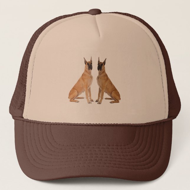 Hund Image for Panel Cap Keps (Framsida)