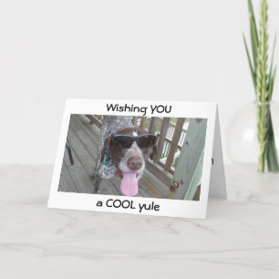 HUND IN SHADES ÖNSKEMÅL "COOLA" YULE HELGKORT
