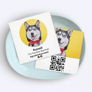 Hund Influencer Anpassningsbar Photo, Pet Fyrkantigt Visitkort