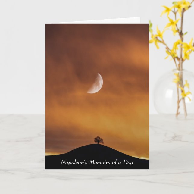 Hund Inspires Napoleon Efter slaget i Bassano Kort (Gul blomma)