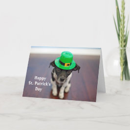Hund Irish Hat St. Patrick's Day Helgkort