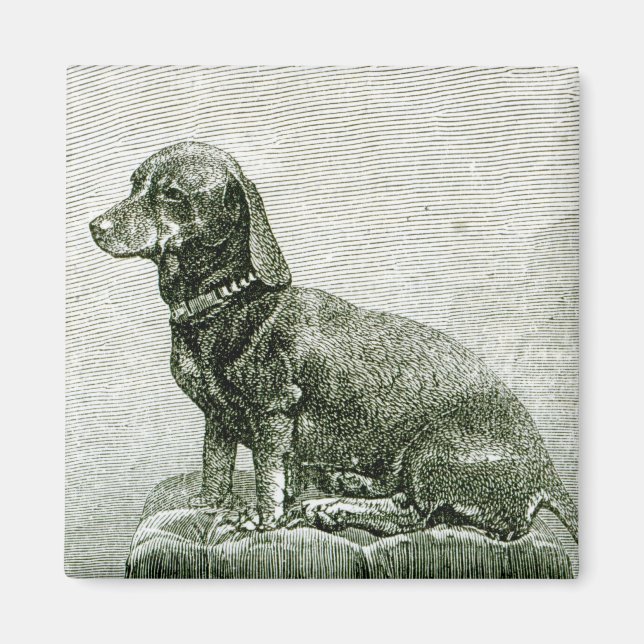 Hund Jacob Magnet (Framsidan)