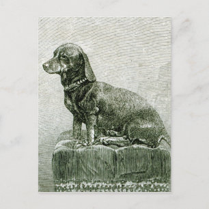 Hund Jacob Vykort