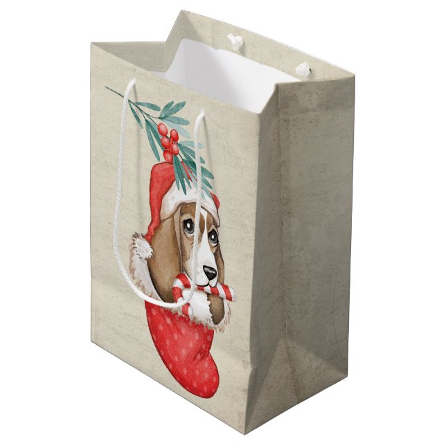 Hund Jul (Framsidan Vinklad)