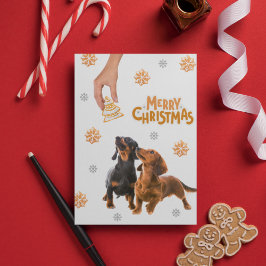 Hund Jul Cookies Dachshund Puppies Julkort