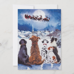 Hund jul, hundar, räddinghundar, helgdag, santa, julkort