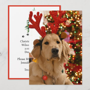 Hund Jul Lek Grupp Päls Vänner Julkort