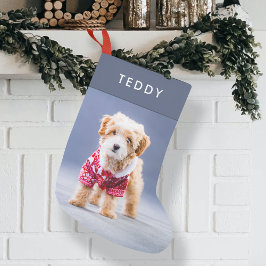 Hund jul | Modern Cute Blue Pet Photo Small Liten Julstrumpa