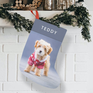 Hund jul Modern Cute Blue Pet Photo Small Liten Julstrumpa