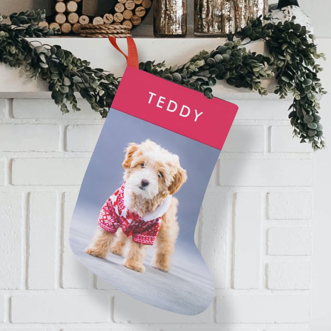 Hund jul | Modern Cute Red Pet Photo Liten Julstrumpa (Dog Christmas photo stocking by Guava, featuring a modern red design and your pet’s name)