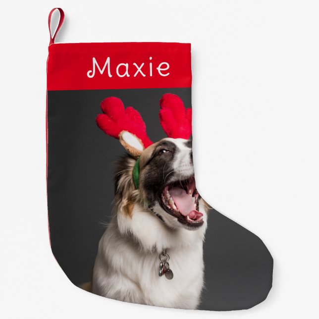Hund jul | Modern Cute Red Pet Photo Liten Julstrumpa (Framsidan)