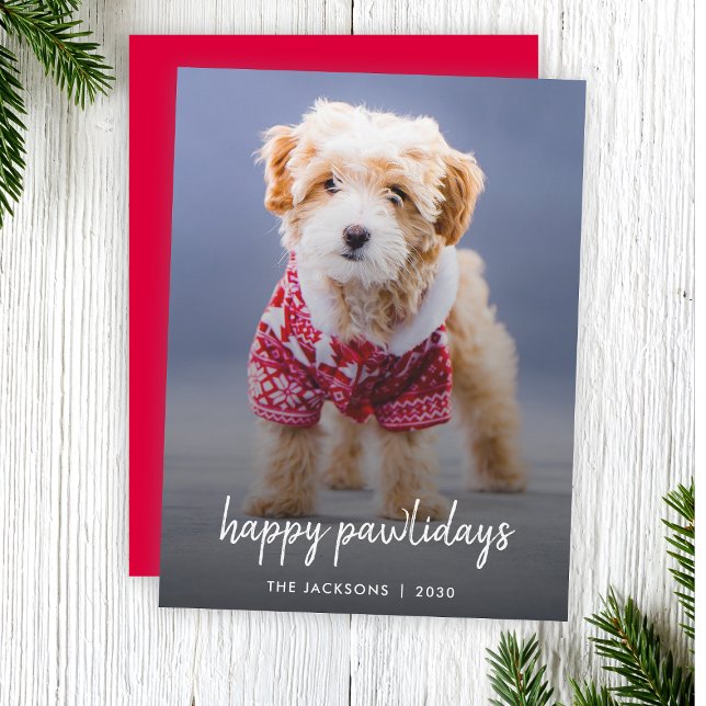 Hund jul | Modern kute Puppy Lycklig Pawlidays Julkort (Celebrate your furry friend with a modern "Happy Pawlidays" photo Christmas card by Guava)