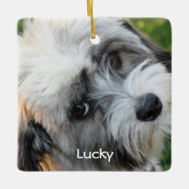 Hund jul Ornament Square Ceramic Photo