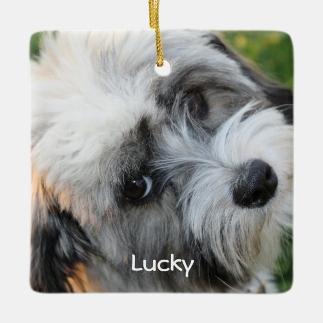 Hund jul Ornament Square Ceramic Photo (Framsida)