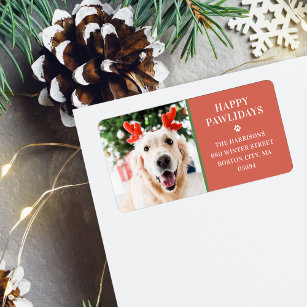 Hund Julfoto Lycklig Pawlidays Adress Adressetikett