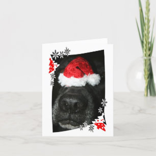 Hund julhatt på näsan, svart lab blandning hund helgkort