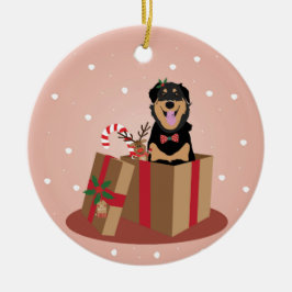 Hund Julklapp Julgransprydnad Keramik