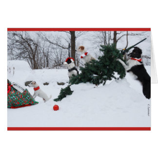 Hund julkort hälsningskort