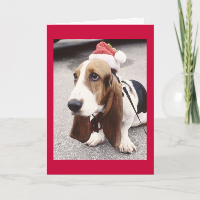 Hund julkort helgkort (Framsida)