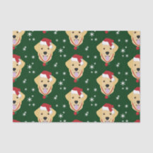 Hund jultomten Golden Retriever