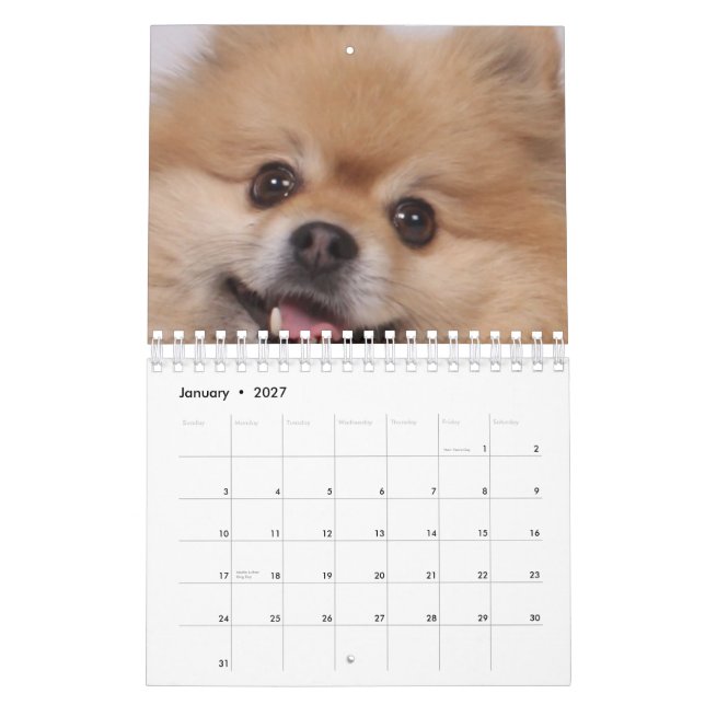 Hund Kalender (Jan 2027)