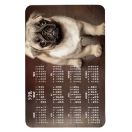 Hund-kalender 2016 - foto - stort magnet 4 x 6