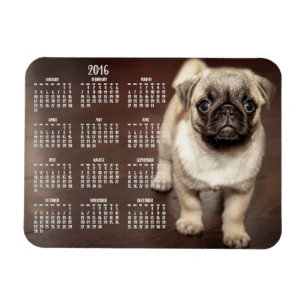 Hund-kalender 2016, Photo Small Magnet 3x4