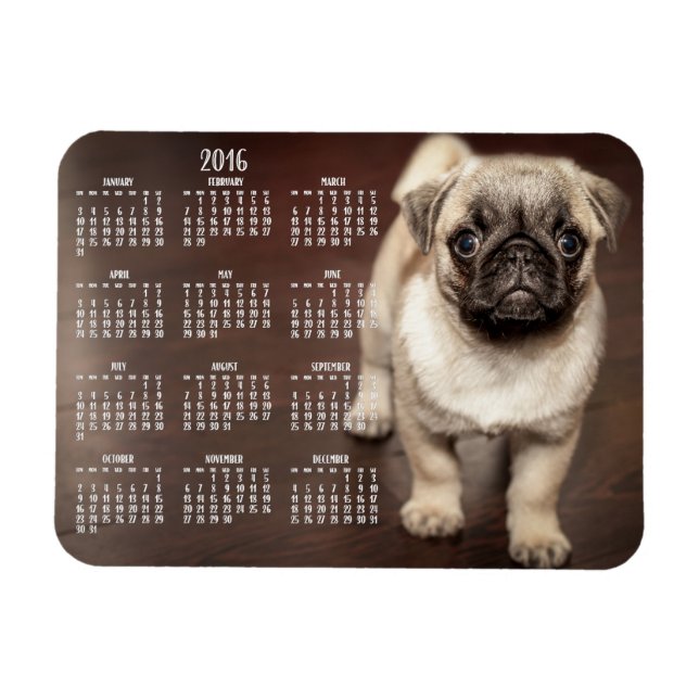 Hund-kalender 2016, Photo Small Magnet 3x4 (Horisontell)