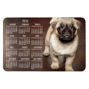 Hund-kalender 2018 - foto - stort magnet 4 x 6