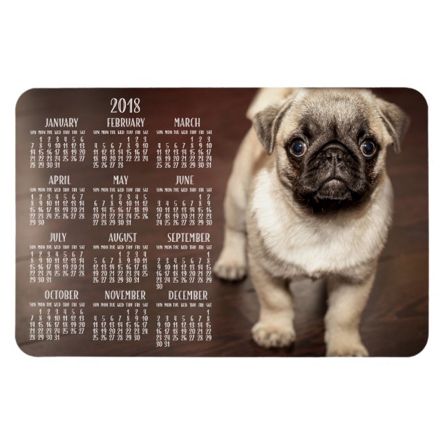 Hund-kalender 2018 - foto - stort magnet 4 x 6 (Horisontell)