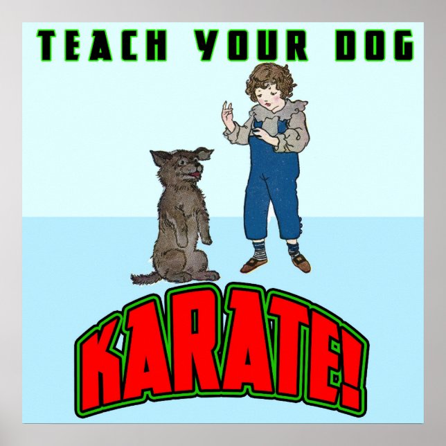 Hund Karate 2 Poster (Framsidan)