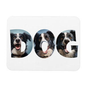 Hund Kärlek i Cot Out Bilder Magnet