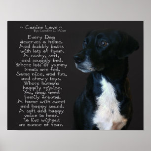 Hund Kärlek Poster