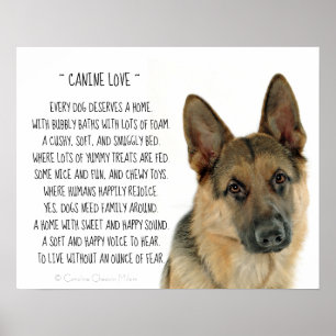 Hund- kärlek poster