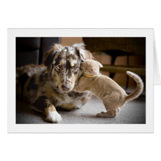 Hund & Kat Kärlek #1 Hälsningskort