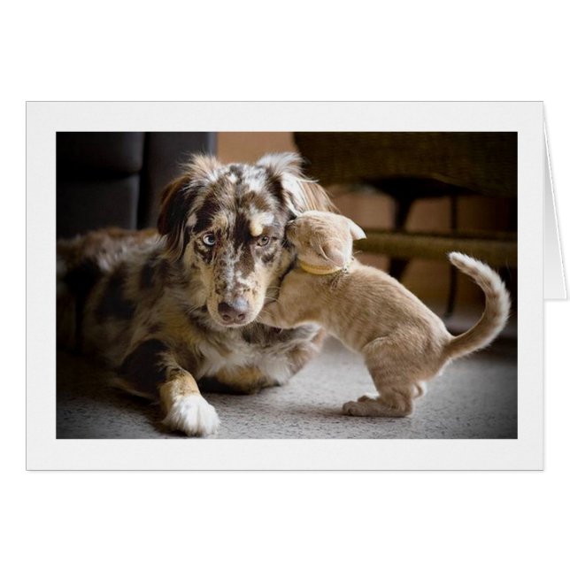 Hund & Kat Kärlek #1 Hälsningskort (Framsidan Horizontal)