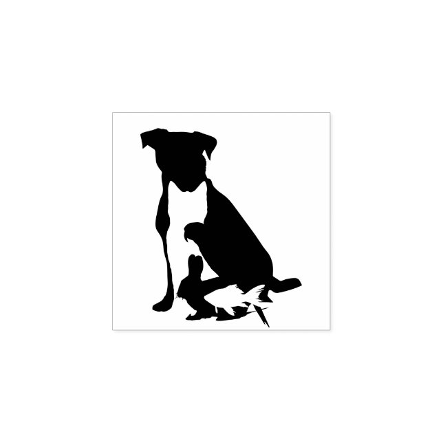 Hund Katt Fågel Kanin Husdjur Veterinär Stämpel (Tryck)