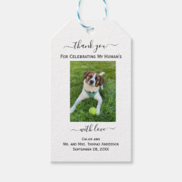 Hund Katt Foto Min Människas Tack Bröllop Presentetikett