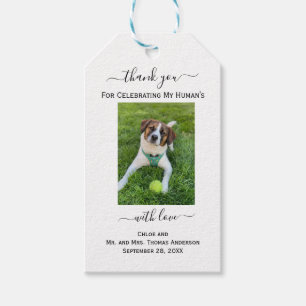 Hund Katt Foto Min Människas Tack Bröllop Presentetikett