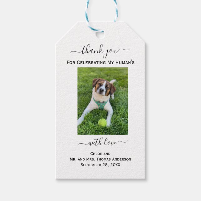 Hund Katt Foto Min Människas Tack Bröllop   Presentetikett (Framsidan)