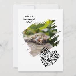 Hund Katt Husdjur Tass Anpassad Foto Alla hjärtans Julkort