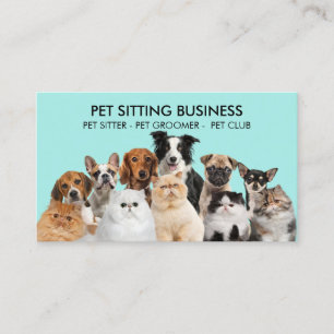 Hund Katt Pet Foto Sessioner Visitkort