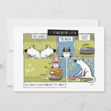 Hund Katt Thanksgiving Kupp